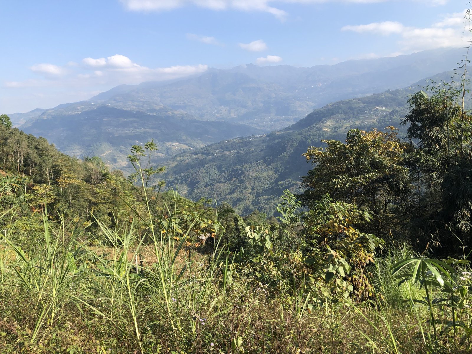 6-Day Hoang Su Phi Bike Tour: Northern Vietnam's Terraced Rice Field Adventure